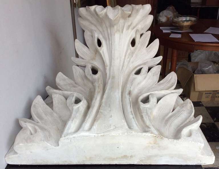 19th Century Study of Acanthus leaf in plaster, France end of the XIXth century