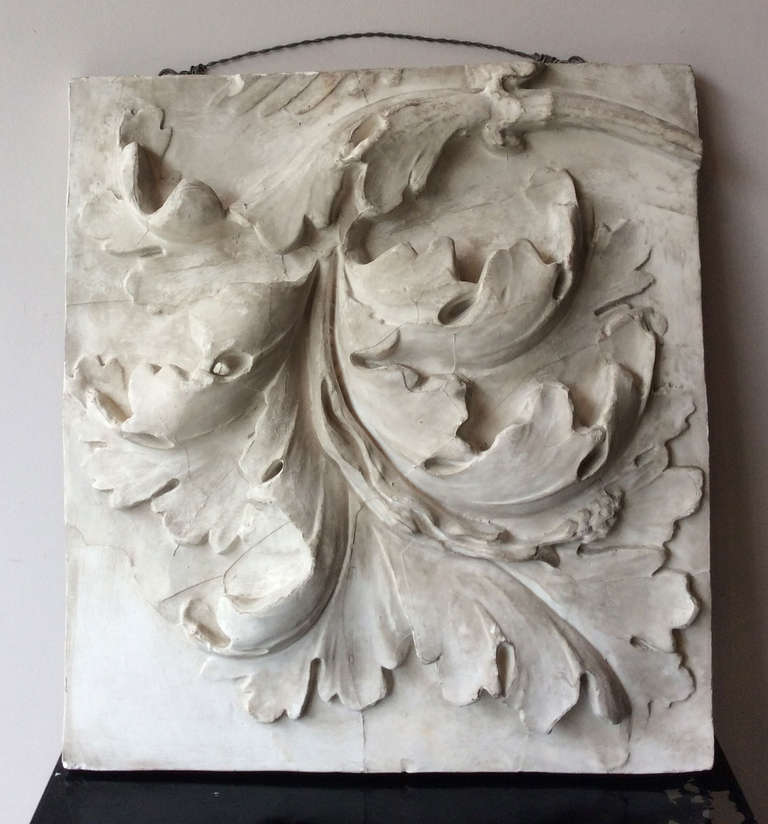 Beautiful and rare collection of plaster casts, models from a school of fine arts, late 19th century, France.

Study of Acanthus  leaf.
