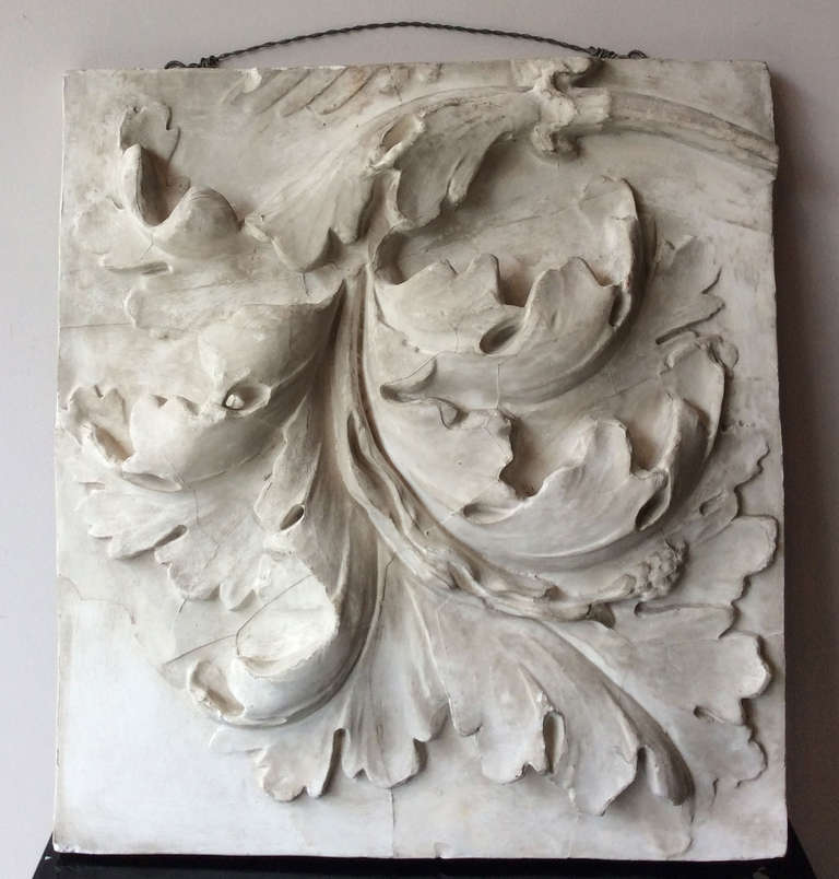 Study of Acanthus Leaf in Plaster, France, End of 19th century 2