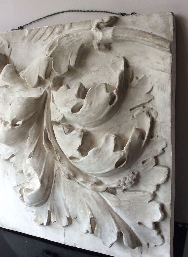 French Study of Acanthus Leaf in Plaster, France, End of 19th century