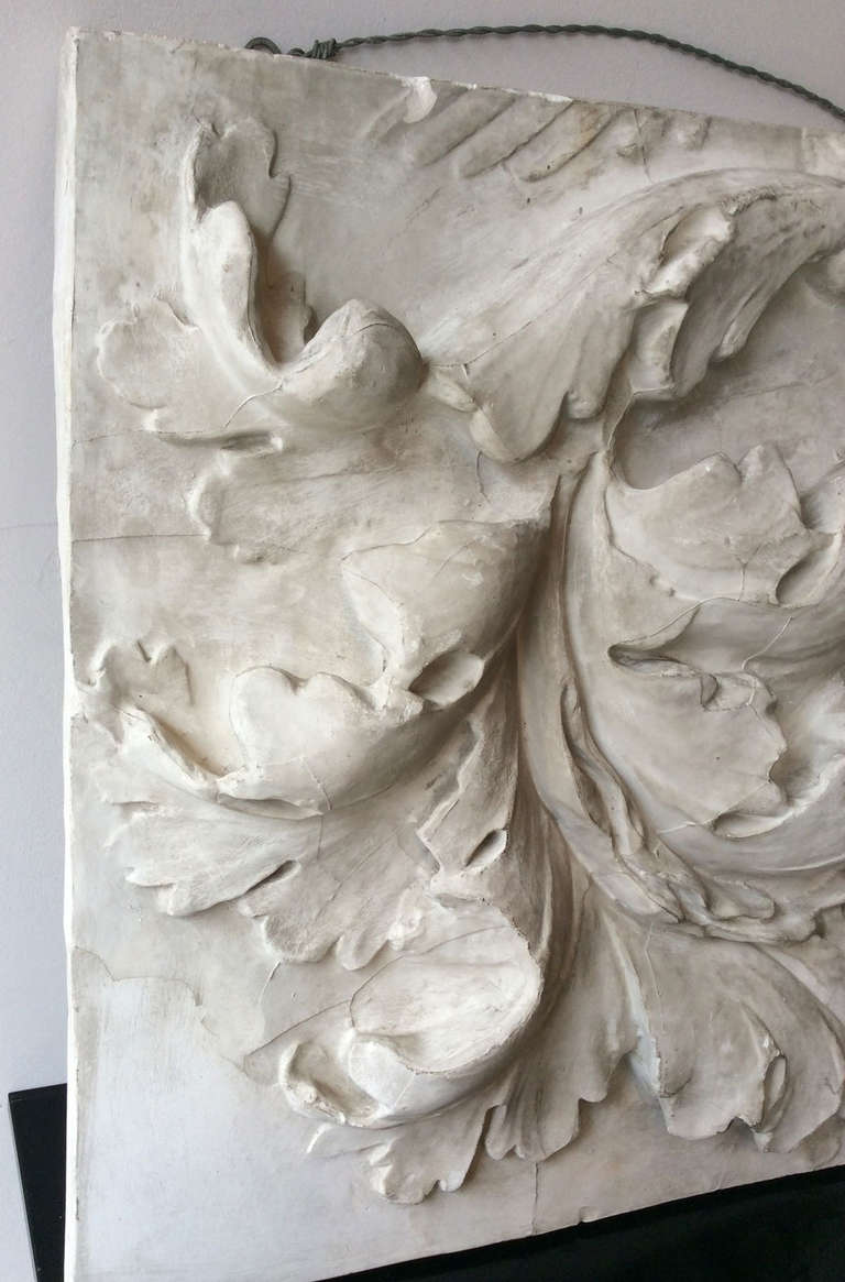 Study of Acanthus Leaf in Plaster, France, End of 19th century In Excellent Condition In Paris, FR