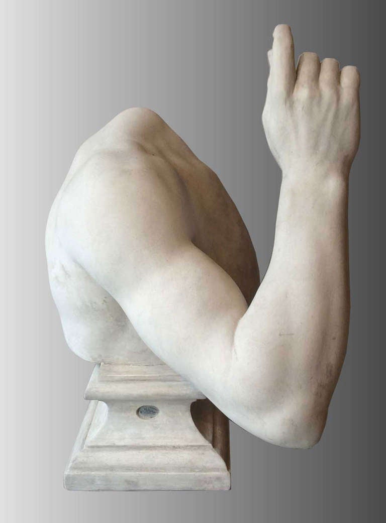Beautiful and rare collection of plaster casts, models from a school of fine arts, late nineteenth century, France.

Germanicus, study of arm, after the original antique model in marble from Musée du Louvre. With bronze stamp.