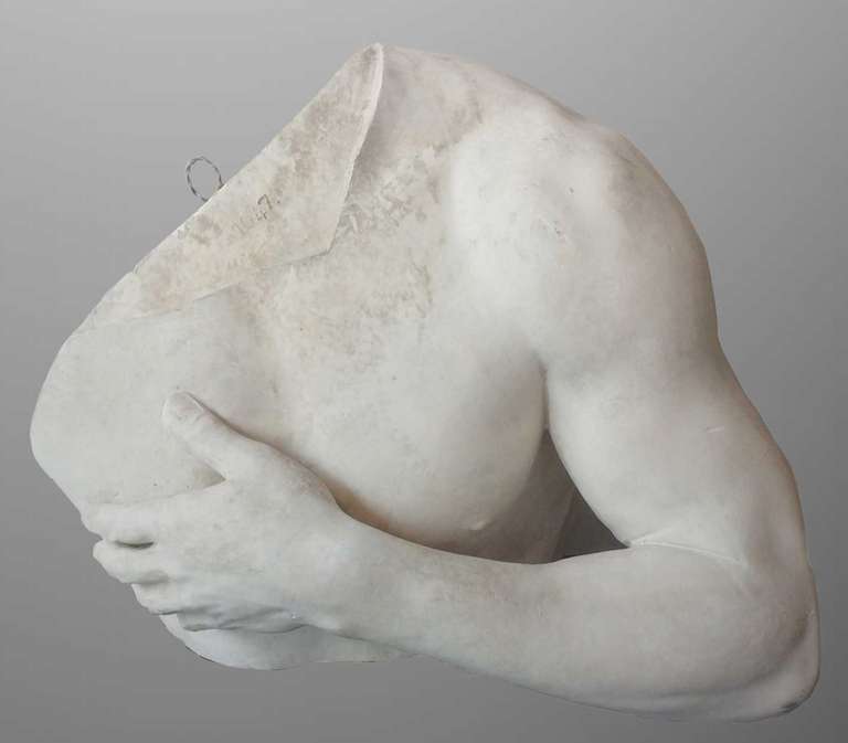 French Study of shoulder and arm in plaster, France end of the XIXth century