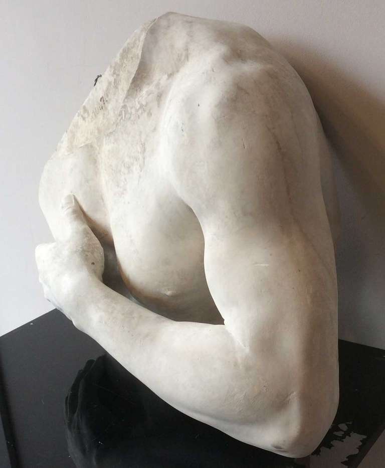 Study of shoulder and arm in plaster, France end of the XIXth century In Good Condition In Paris, FR