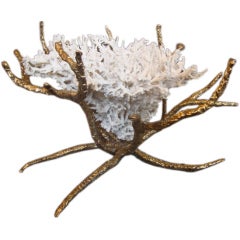 White Coral Sculpture
