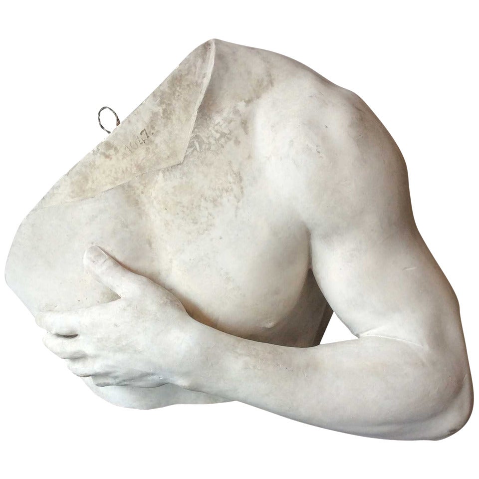 Study of shoulder and arm in plaster, France end of the XIXth century