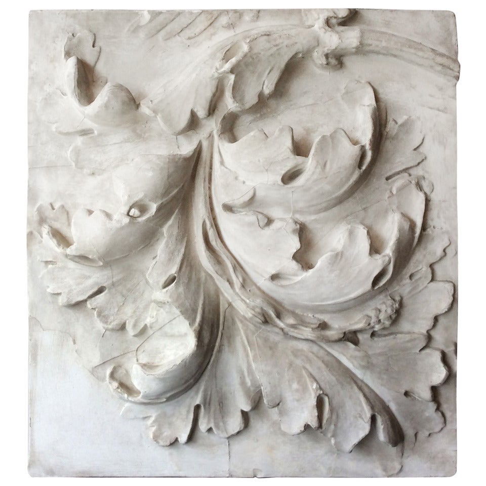 Study of Acanthus Leaf in Plaster, France, End of 19th century