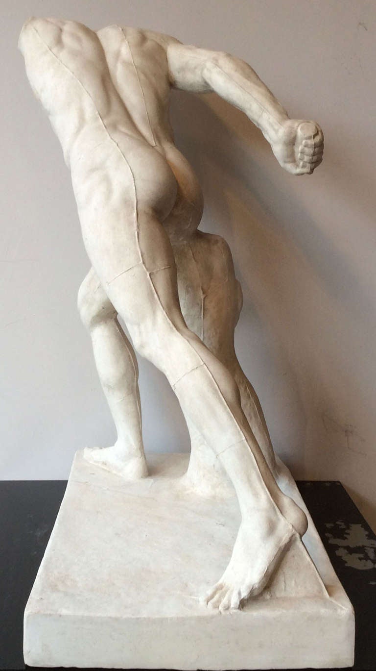 Athletic Body in Plaster, France, Late 19th Century 1