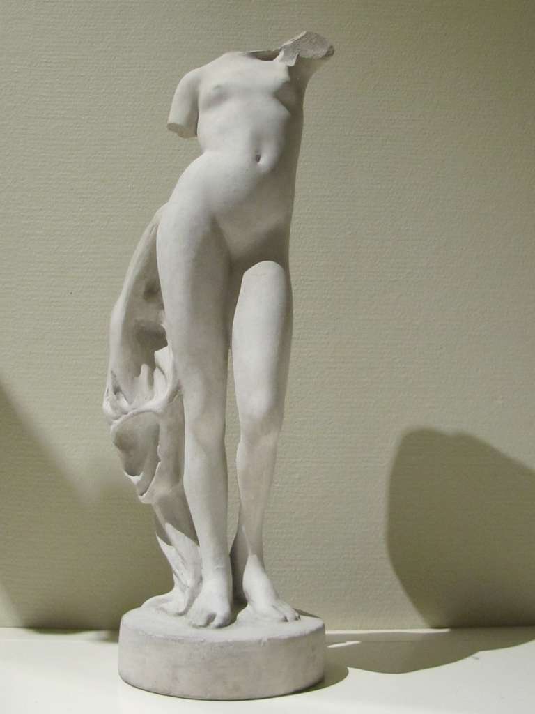 Study of Venus in plaster, France late 19th Century 3