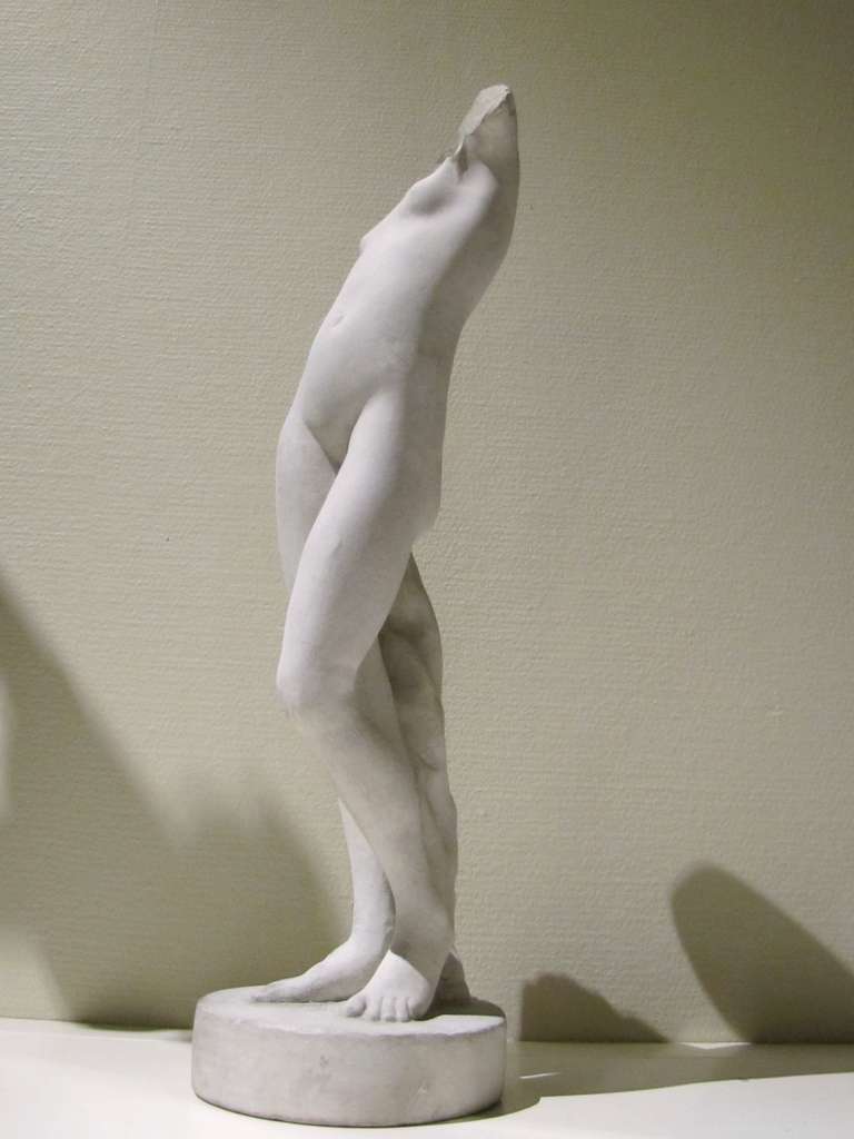 Study of Venus in plaster, France late 19th Century 4