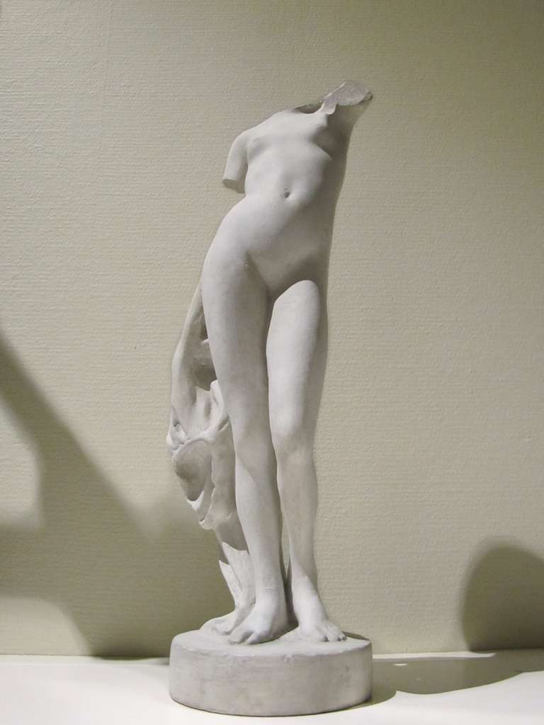 Study of Venus in plaster, France late 19th Century 5