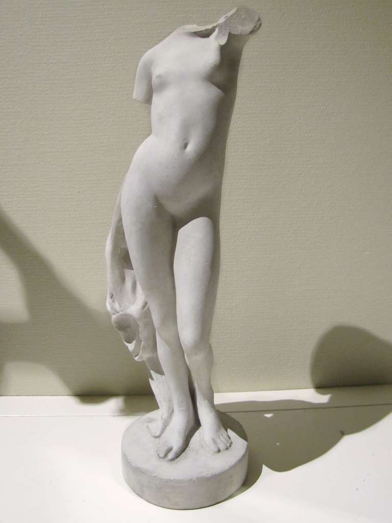 Study of Venus.
Beautiful and rare collection of plaster casts, models from a school of fine arts, late 19th century, France.