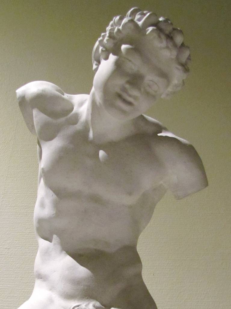 Study Of Faun in Plaster 4