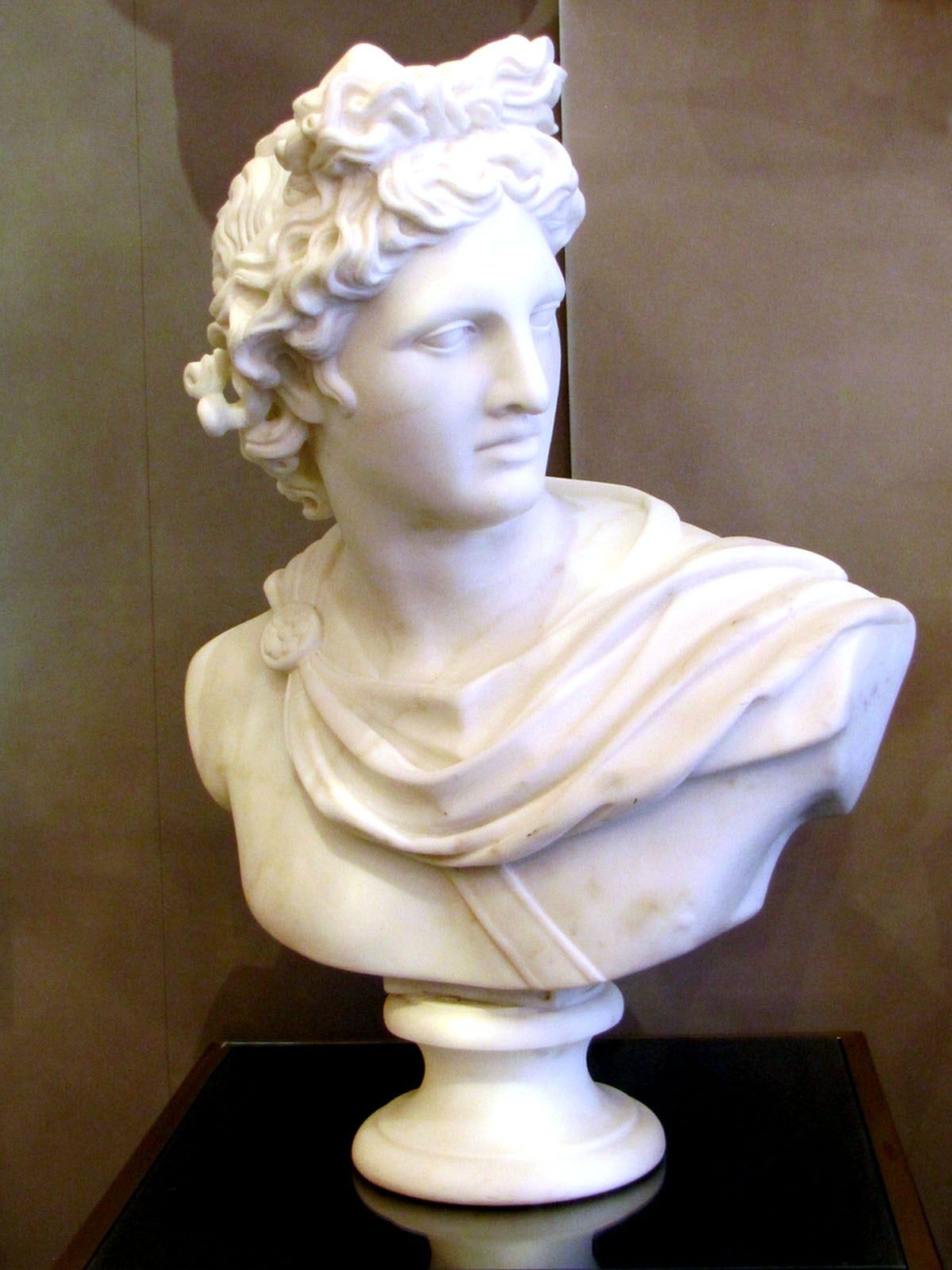 A large and superbly hand-carved Carrara marble bust of Apollo Belvedere.