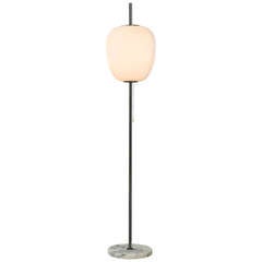 Floor lamp J14 by Joseph-André Motte - Pierre Disderot edition - 1957