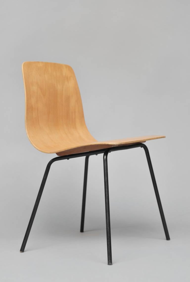 Set of 12 Papyrus chairs by Pierre Guariche - Steiner edition - 1951