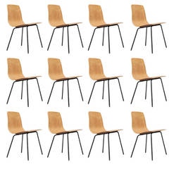 Set of 12 Papyrus chairs by Pierre Guariche - Steiner edition - 1951