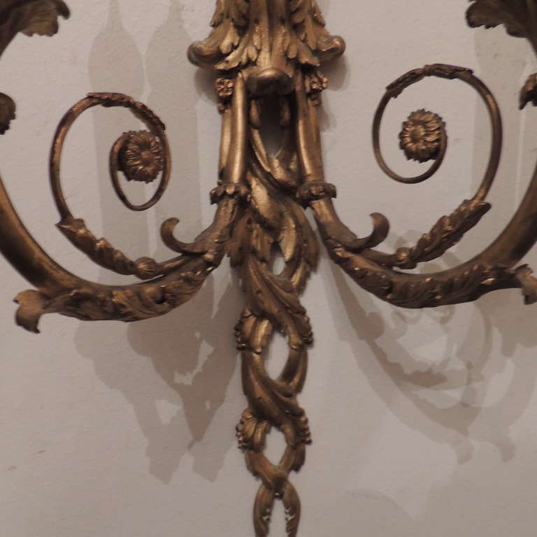Gilt Exquisite Pair Of Large Dore Bronze Cherub Putti Wall Sconces By E.F. Caldwell