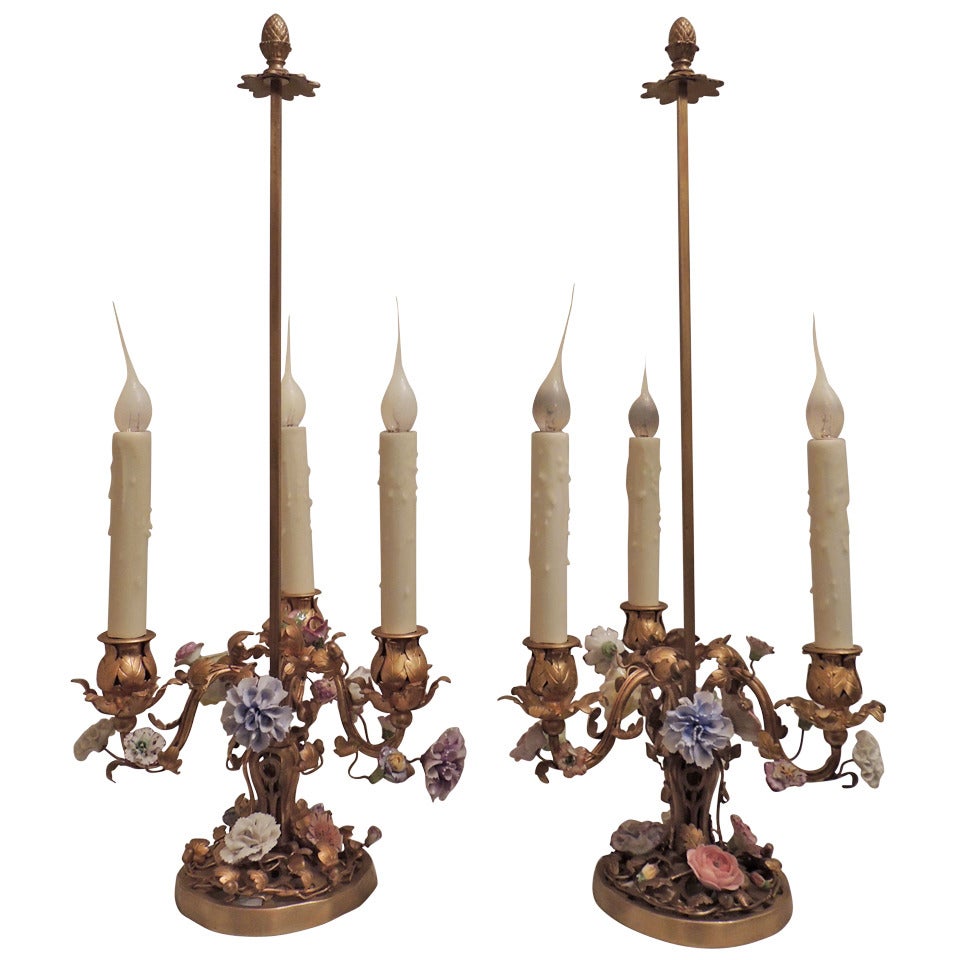 Wonderful Pair of French Doré Bronze Candelabra Lamps with Porcelain Flowers