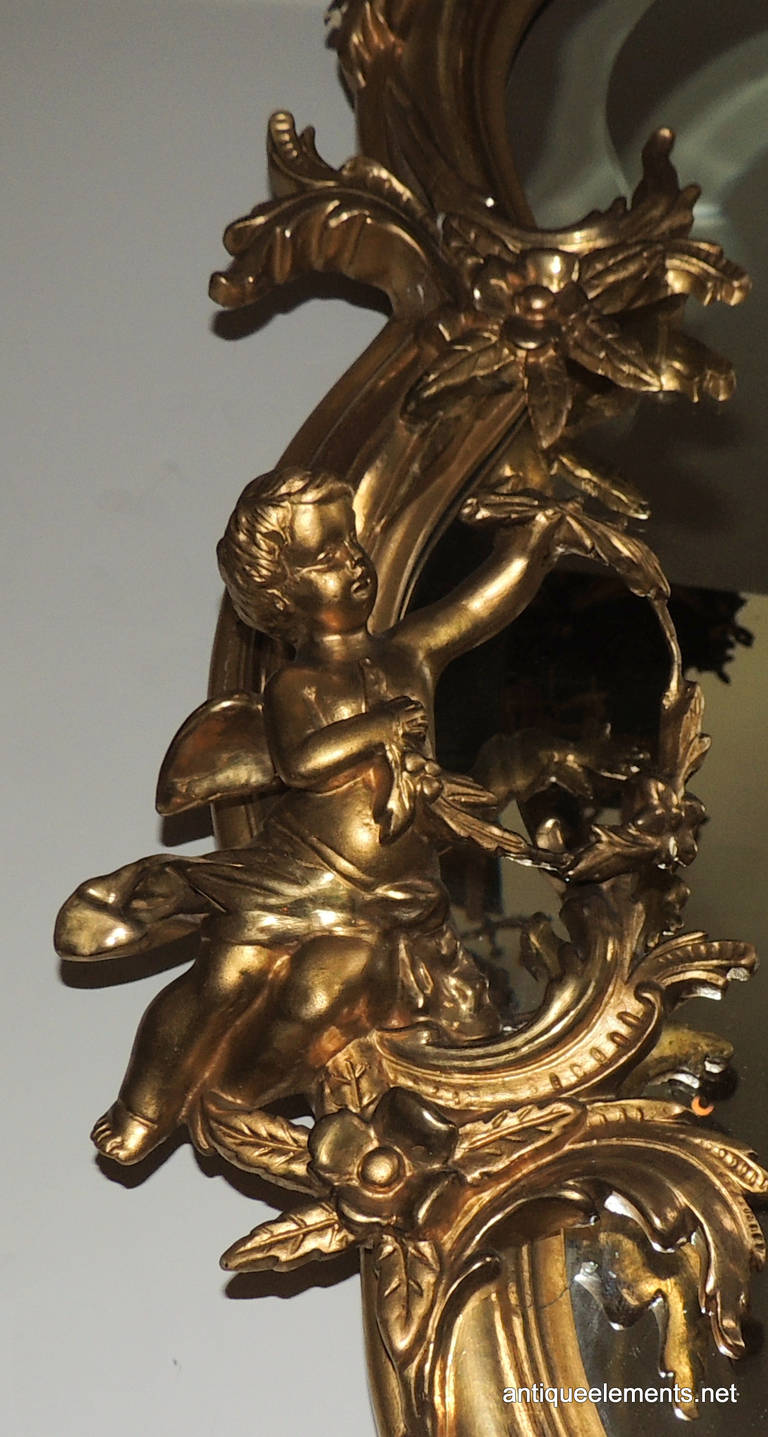 Extraordinary 19th Century French Carved & Gilt Cherub Rococo Mirror 2