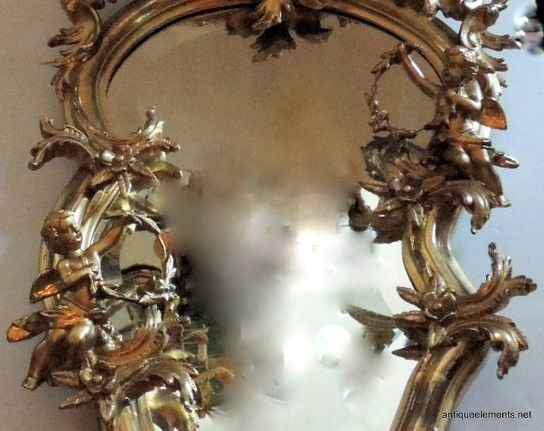 Giltwood Extraordinary 19th Century French Carved & Gilt Cherub Rococo Mirror