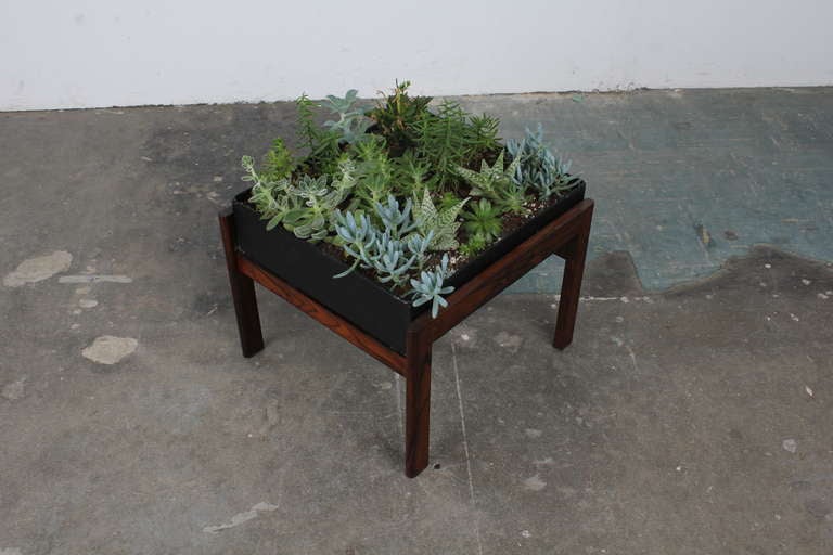 Mid Century Modern rosewood and metal planter.  The distressed aged metal plant box sits in a rosewood frame with gorgeous grain patters.  This is the perfect accent for any space.  If picking up locally the plants are included with the planter.  If