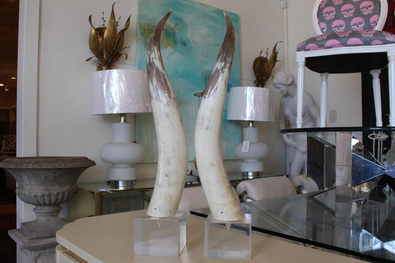Vintage Pair of Horns on Lucite In Good Condition In Dallas, TX