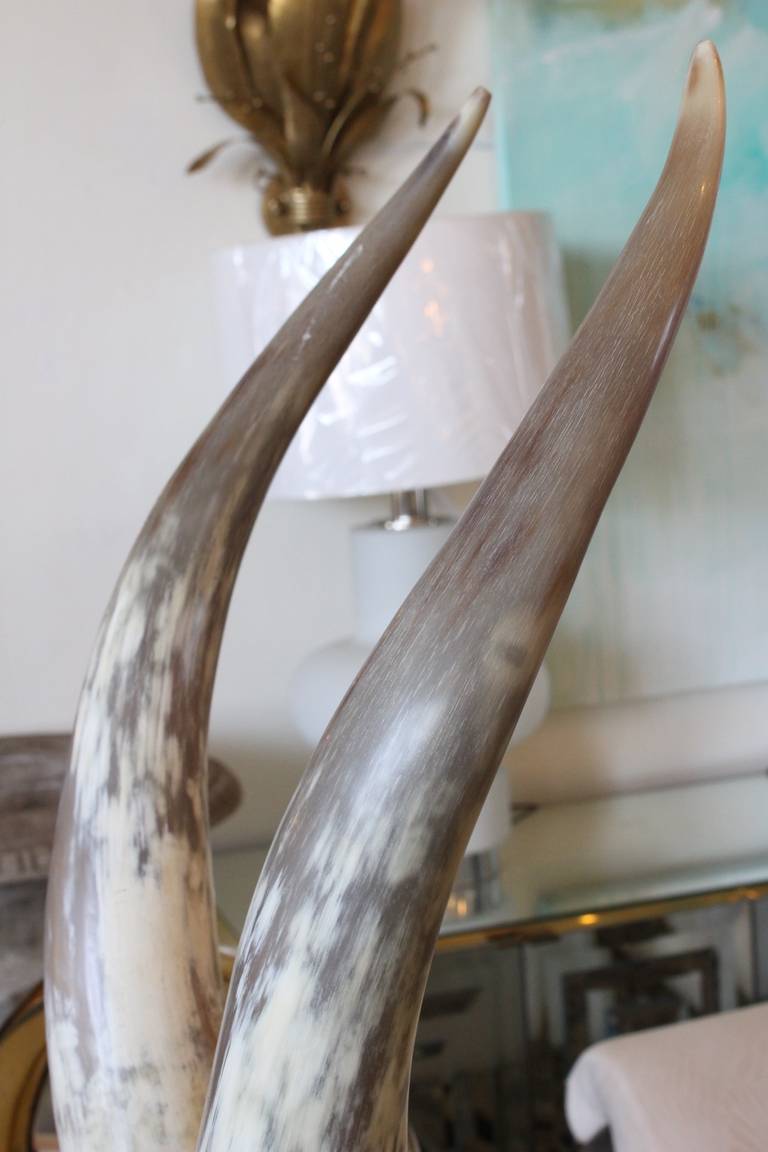 Vintage Pair of Horns on Lucite 4