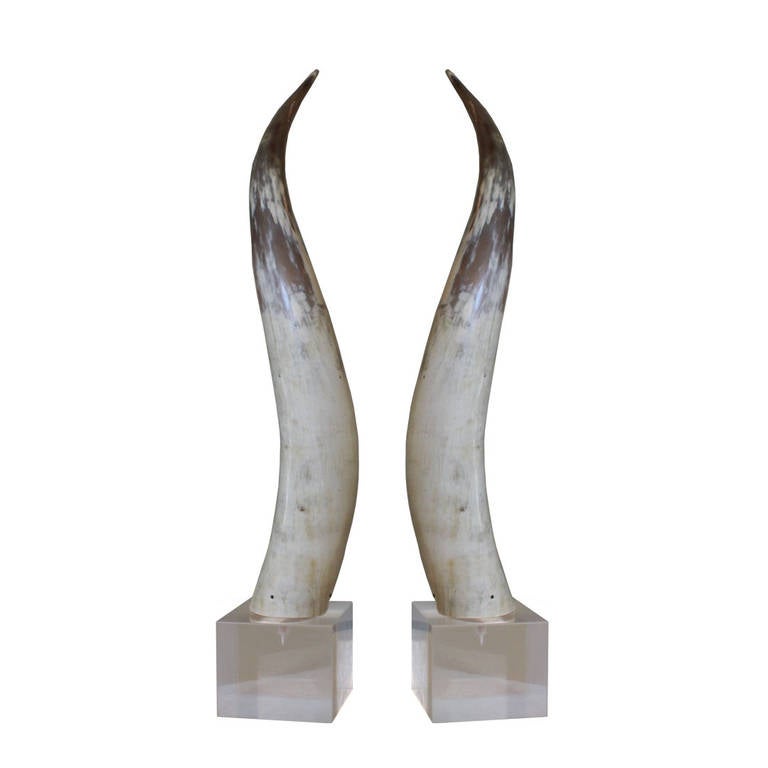 Beautiful pair of taupe and cream colored horns on lucite. There is a crack in one of the lucite base. For more information on please contact us!

dimensions: 5