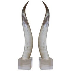 Vintage Pair of Horns on Lucite