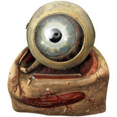 A Fine 19th Century Anatomical Model of the Eye
