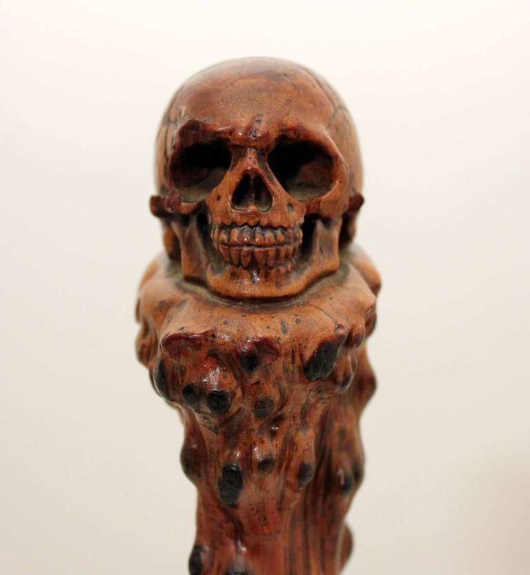 19th Century Skull Walking Stick In Excellent Condition In Gloucestershire, GB