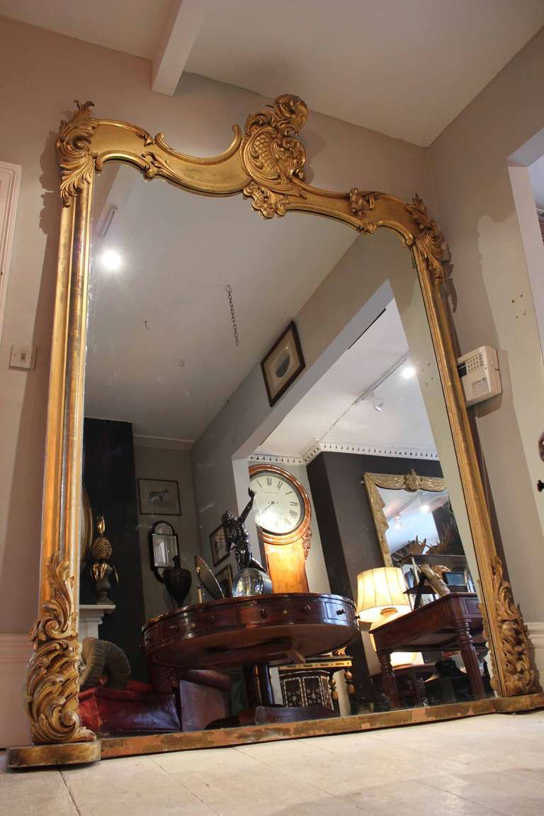 A extremely rare and  very large mid 19th century overmantel mirror in fantastic condition, carved and water gilded decoration with a beautiful glass plate and panelled back.