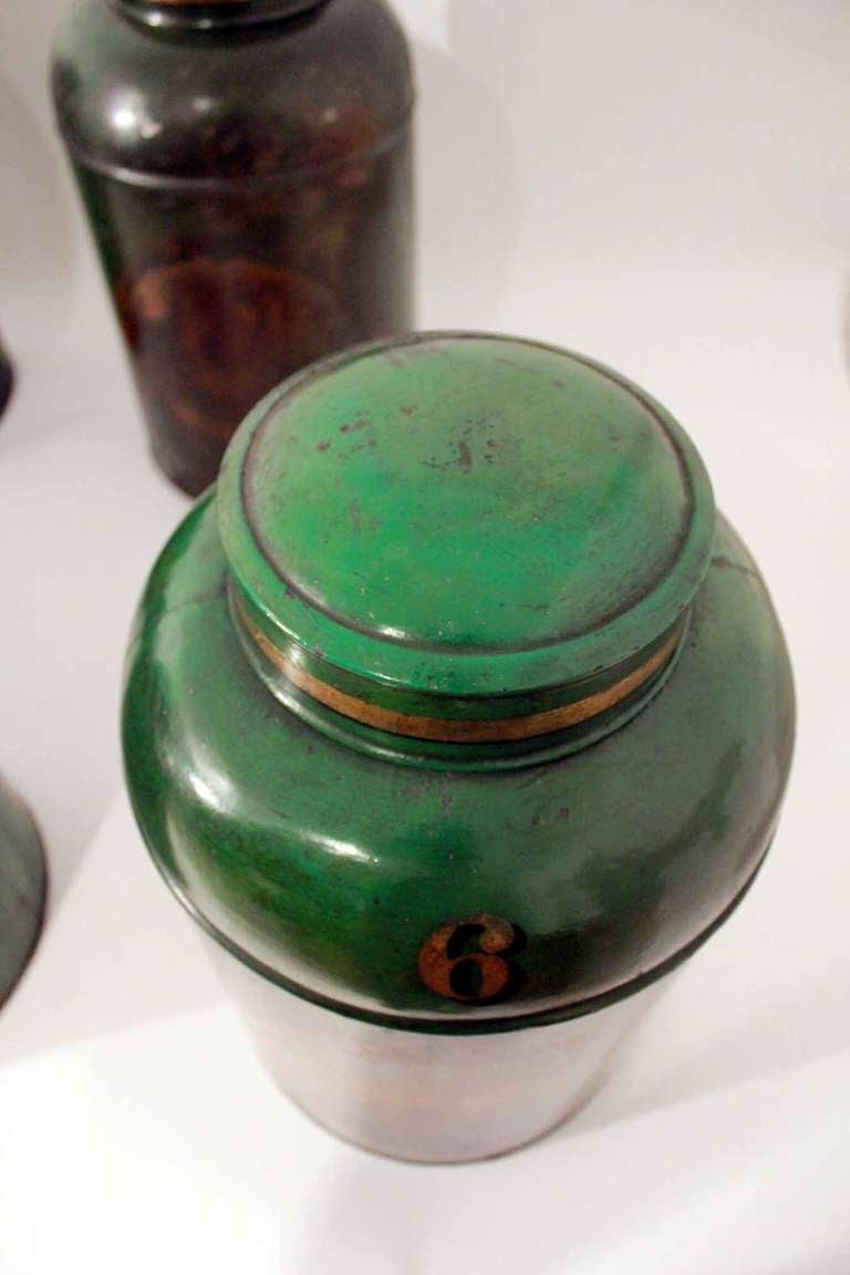 Set of Ten 19th Century Tole Tea Canisters 4