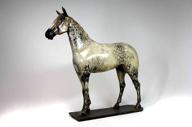 A very rare and quite astonishing 19th century life sized (seventeen hand) saddler’s model of a Windsor grey stallion horse, used to display equestrian tack.The horse was commissioned in the latter part of the 19th century for a saddlers called
