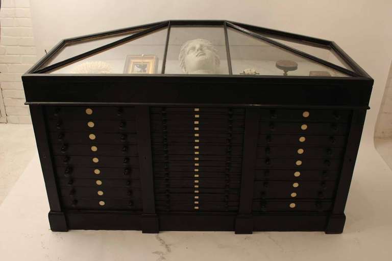 19th Century Museum Display Cabinet For Sale 1