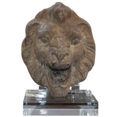 Cement Lion Head on Lucite