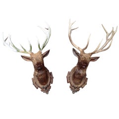 Pair of Deer Heads