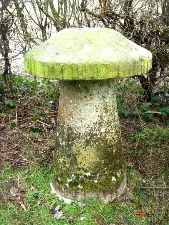 Stone Mushrooms 2