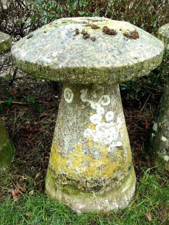 Stone Mushrooms 3