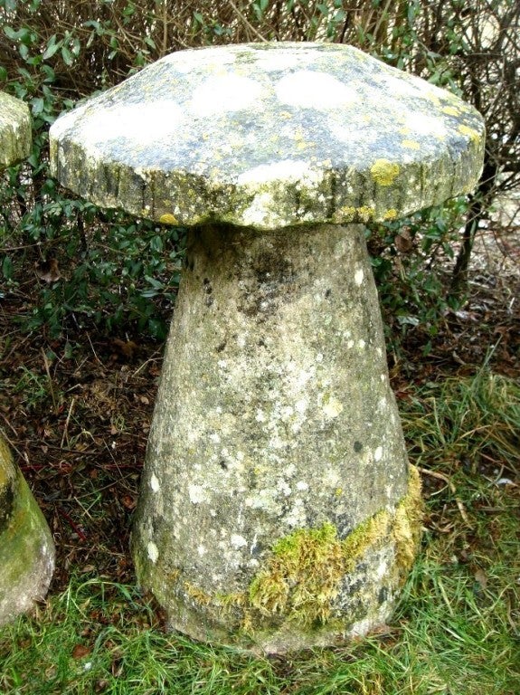 Stone Mushrooms 4