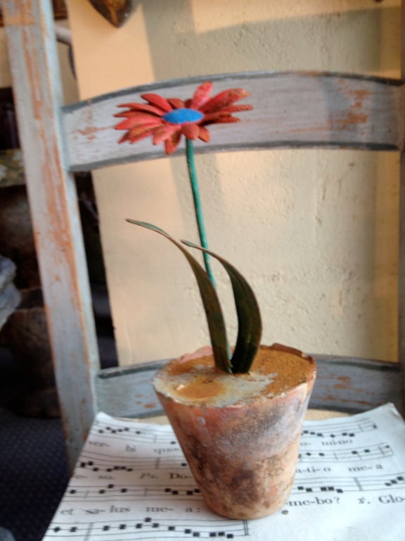 Flowers Which Announce Spring