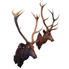 Pair of deer's head with antler mount