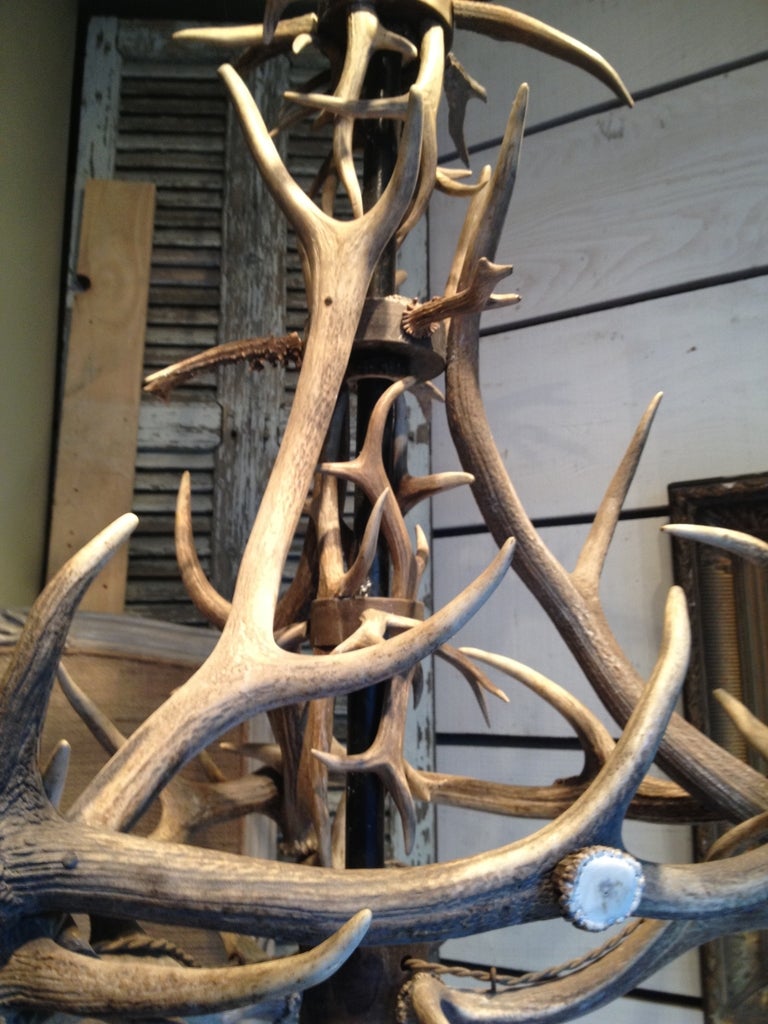 Late 20th Century Antler Chandelier For Sale