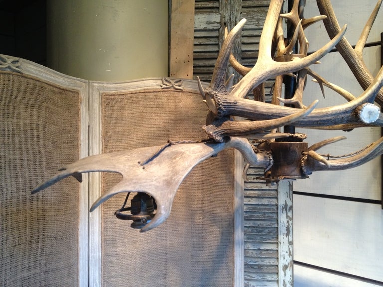 Beautiful chandelier genuine stag horn, to be electrified. Will look great with candles poses on the horns.
Its pyramidal shape gives it a certain majesty.
