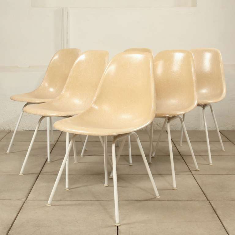 Set of 6 parchment armless dinning chair, Charles Eames model ' DSH', moulded fibreglass polyester seat shell, connected tothe original white lacquered H bases.

Beautiful aged patine.

Manufactured and labeled by Herman Miller , period