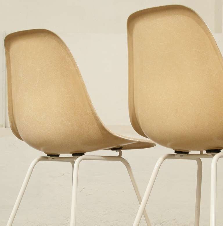 American Set of 6 parchment DSH chair Herman Miller