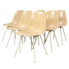 Set of 6 parchment DSH chair Herman Miller