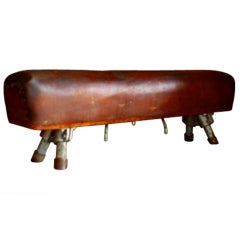 XL leather gymhorse XL leather gymhorse