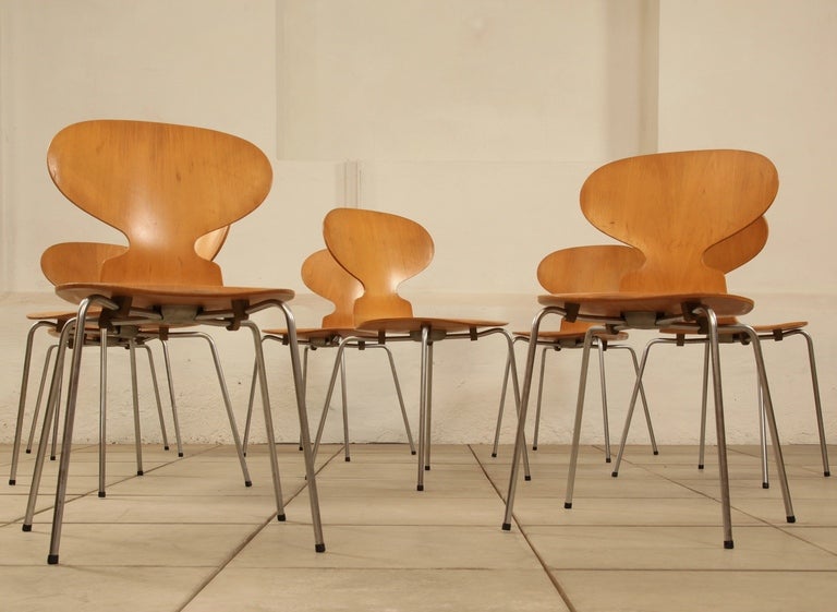 Set of  8 matching Arne Jacobsen 3101 'Ant' chairs produced by Fritz Hansen.Very early edition.

The chairs have no cracks in the back and have a wonderfully aged look and  patina. All chairs are sturdy and all schock mounts are in good